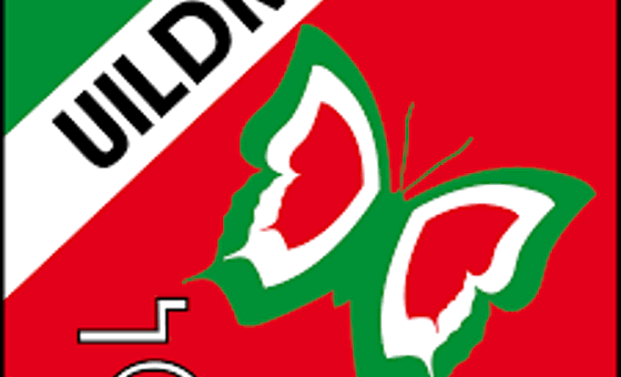 logo iuldm