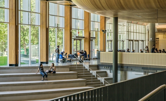 università